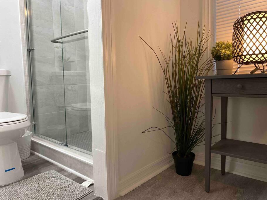 Chic Bungalow Apartment Steps From Armature Works & Downtown Riverwalk Tampa Zewnętrze zdjęcie